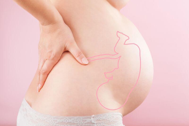 trymestry ciąży