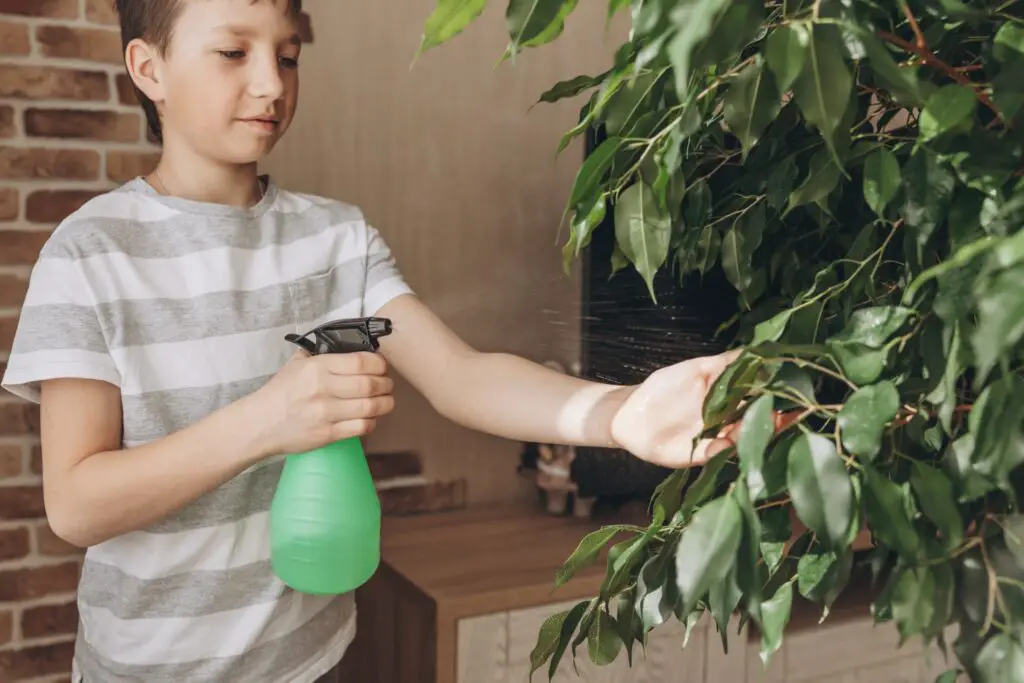 Jakie rośliny dobrać do pokoju dziecka?