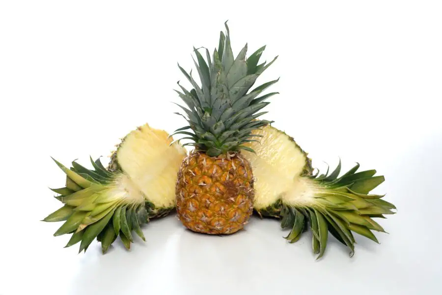 ananas w ciąży - właściwości