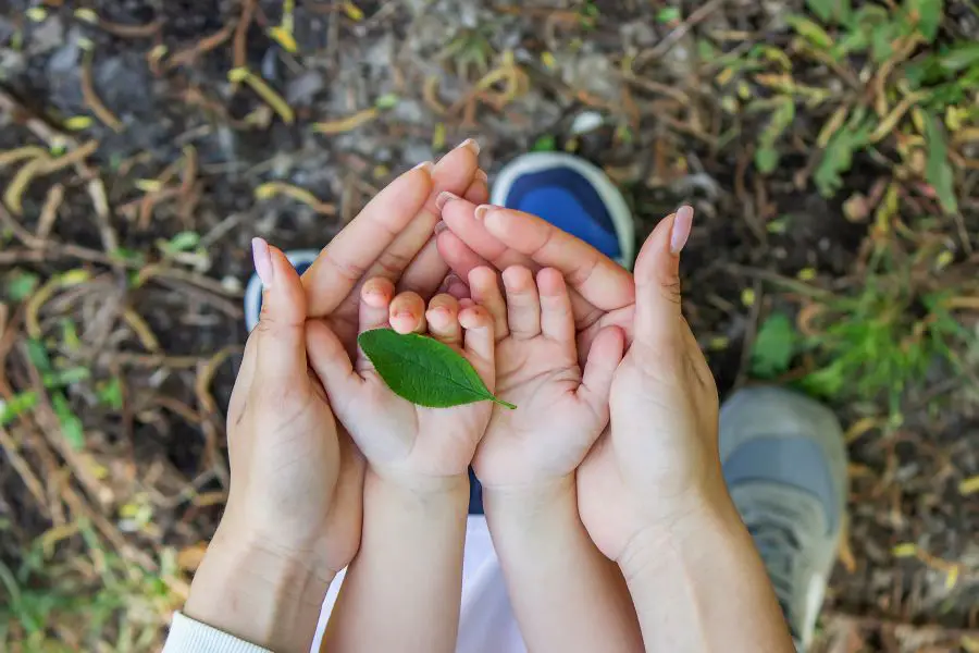 ekorodzicielstwo - ekologiczne rodzicielstwo